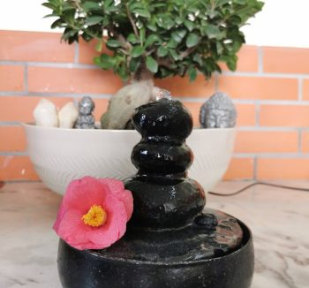 5G-Schutz für Wasserquellen