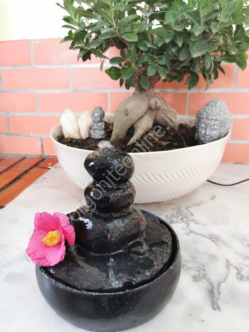 5G-Schutz für Wasserquellen - Imagen 3