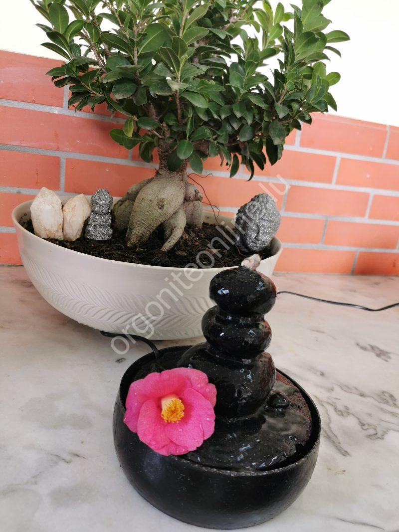 5G-Schutz für Wasserquellen - Imagen 5