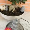 Orgonit-Wasserbrunnen - Imagen 6
