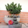 Orgonit-Wasserbrunnen - Imagen 3